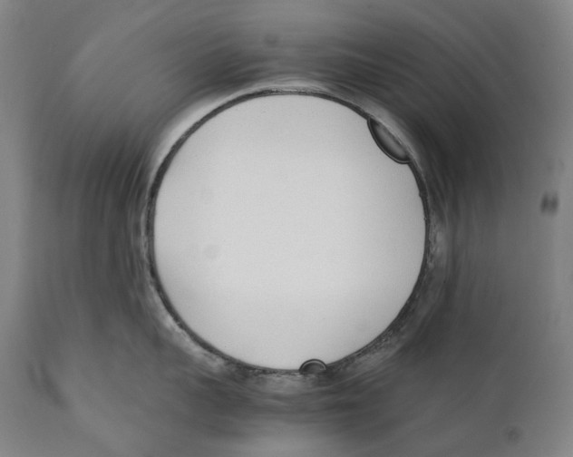 X0000111530959200908111223