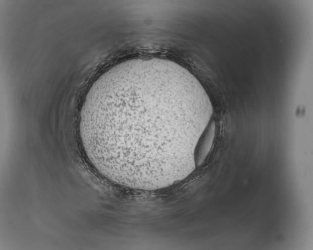 X0000111530961200908111222