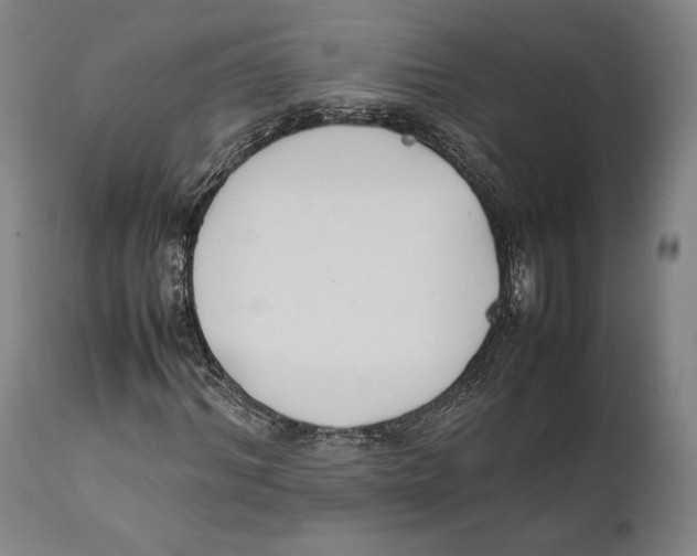 X0000111530964200908111222