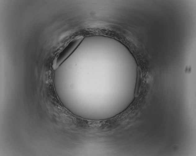 X0000111530965200908111222