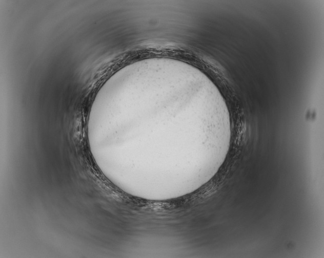 X0000111530966200908111222