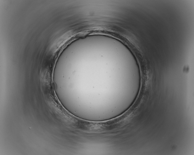 X0000111530969200908111222