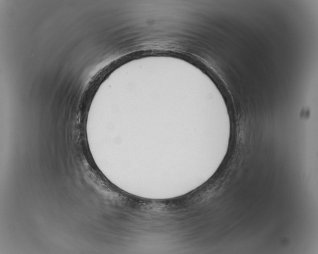 X0000111530971200908111222