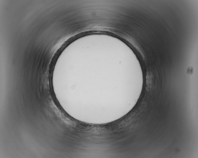 X0000111530972200908111222