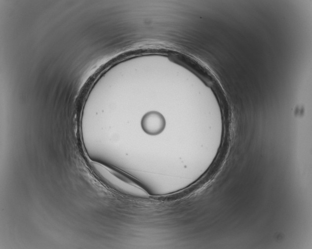 X0000111530973200908111222