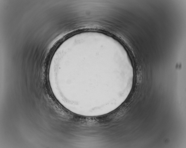 X0000111530975200908111222