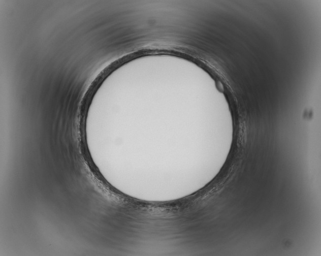 X0000111530976200908111222