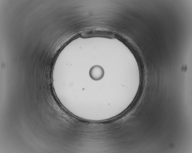 X0000111530977200908111222