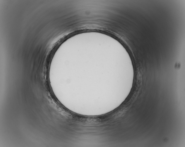 X0000111530979200908111222