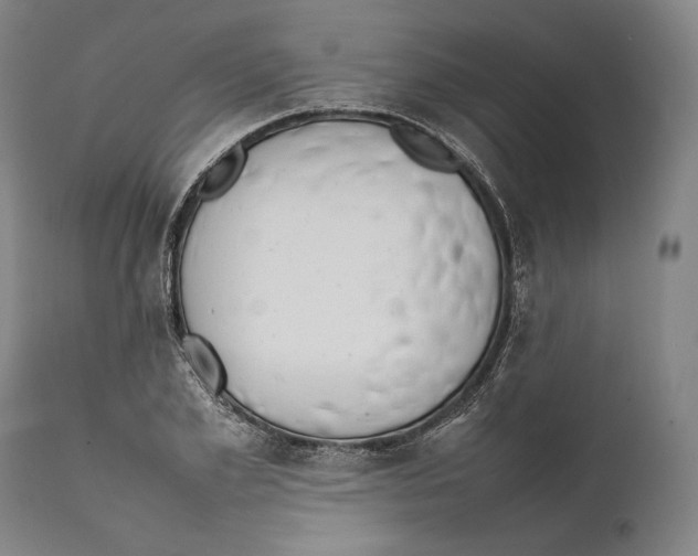 X0000111530981200908111222