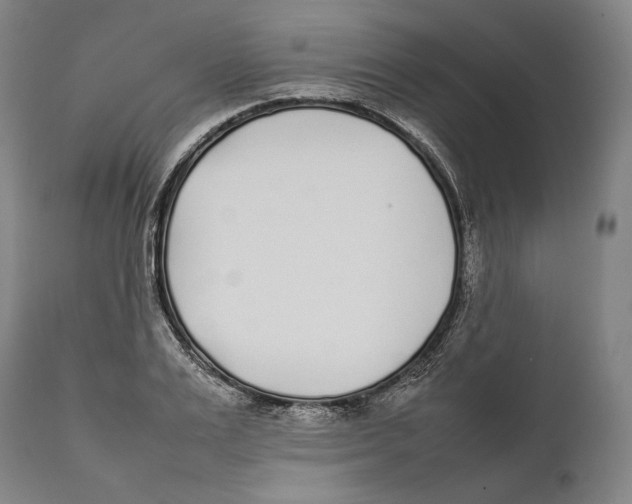 X0000111530983200908111222