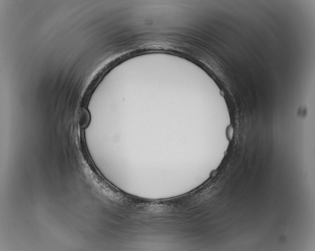 X0000111530984200908111222