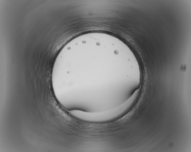 X0000111530985200908111222