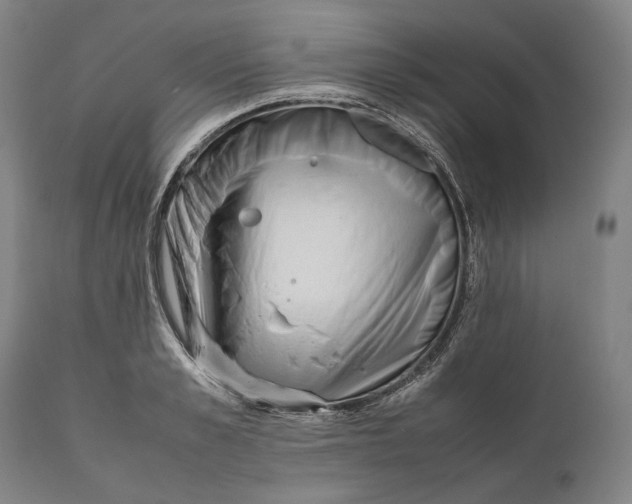 X0000111530989200908111221