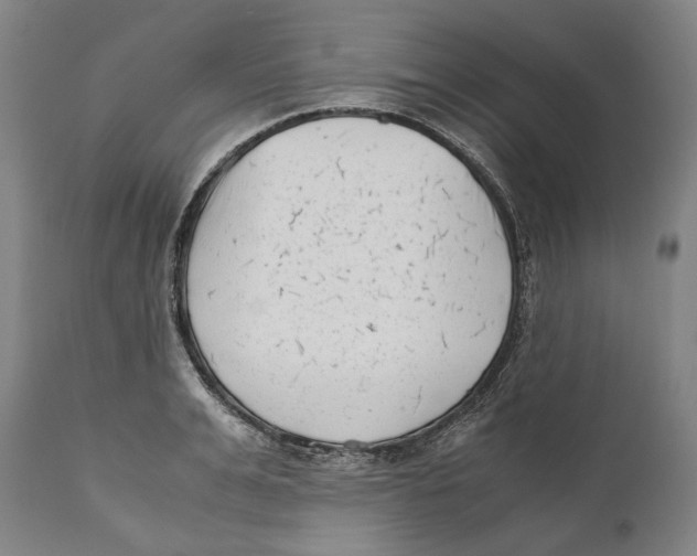 X0000111530991200908111221