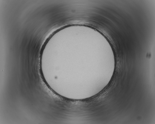 X0000111530992200908111221