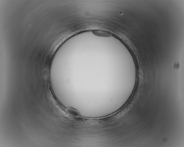 X0000111530993200908111221