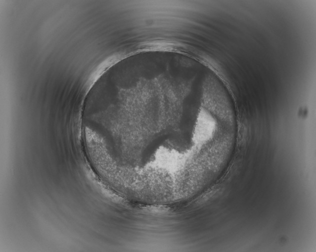 X0000111530994200908111221