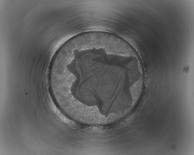 X0000111530995200908111221