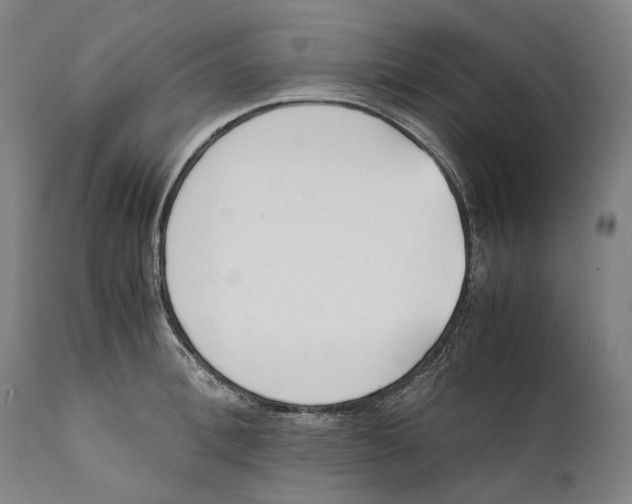 X0000111530996200908111221