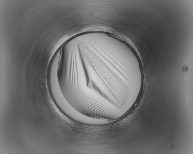 X0000111530997200908111221