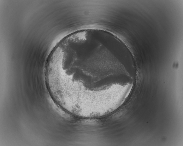 X0000111530998200908111221