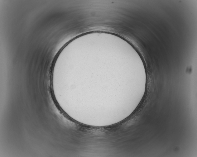 X0000111530999200908111221