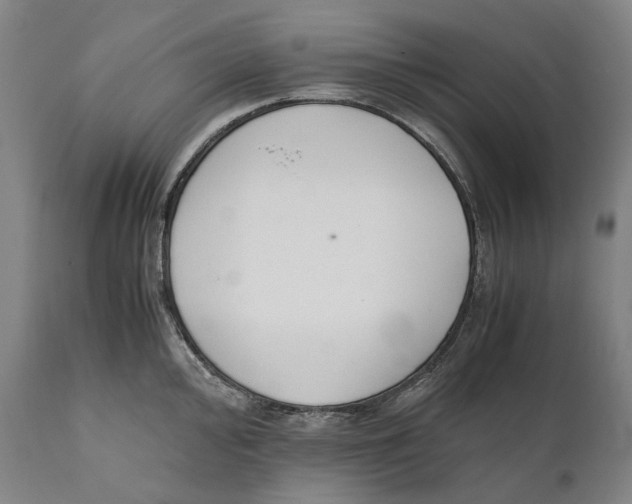 X0000111531000200908111221