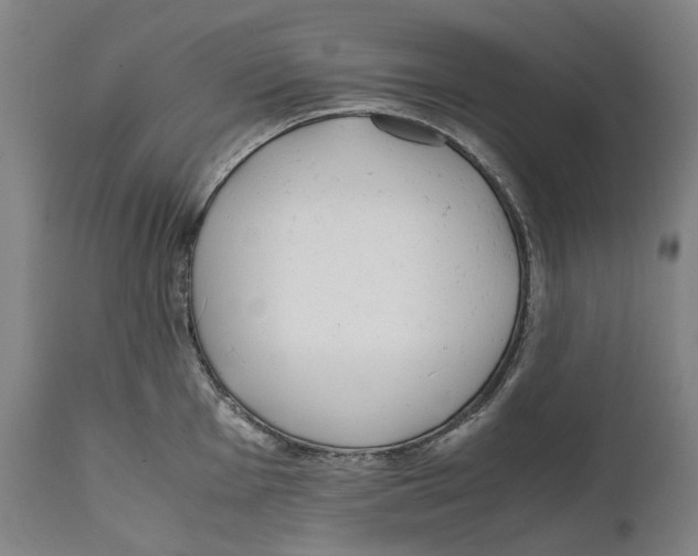 X0000111531001200908111221