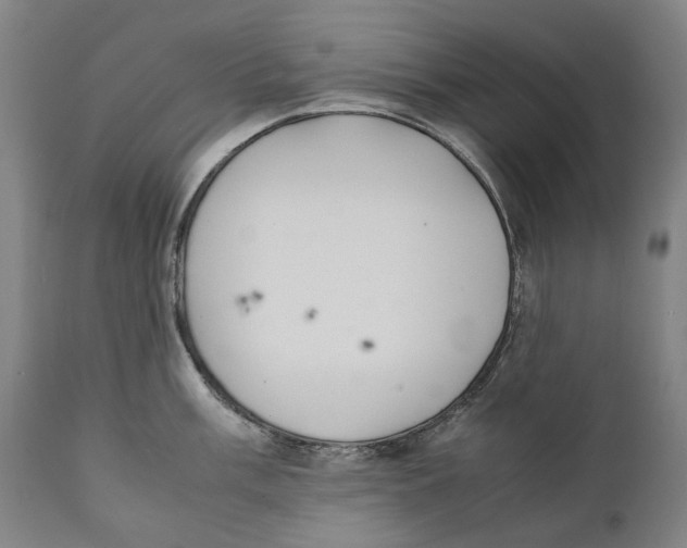 X0000111531003200908111221