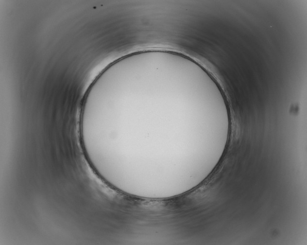 X0000111531006200908111221