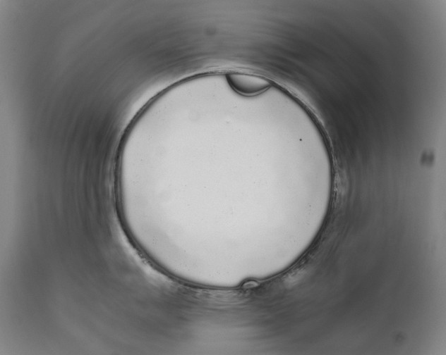 X0000111531007200908111221