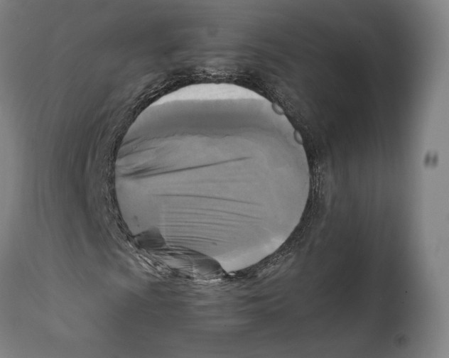 X0000111531009200908111220