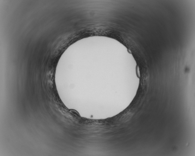 X0000111531010200908111220