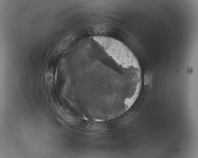 X0000111531011200908111220