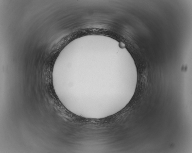 X0000111531014200908111220