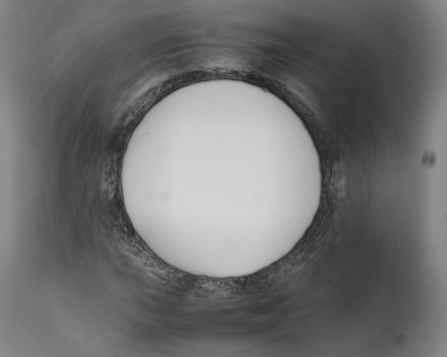 X0000111531015200908111220