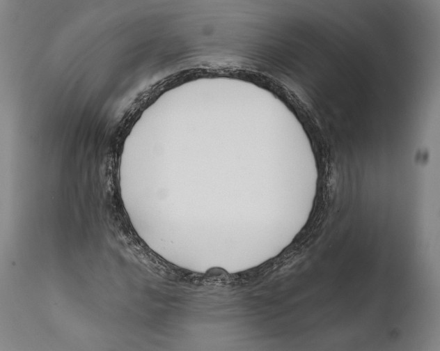 X0000111531016200908111220