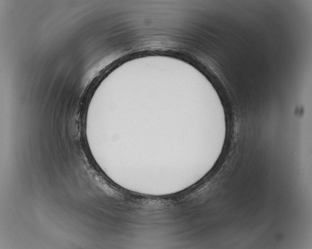 X0000111531018200908111221