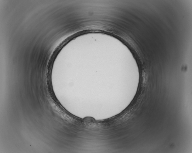 X0000111531020200908111221