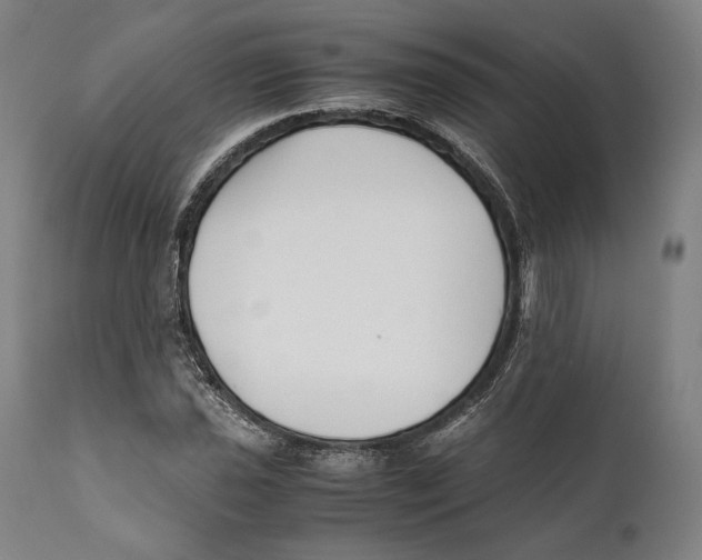 X0000111531021200908111221