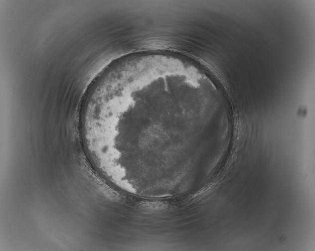 X0000111531023200908111221