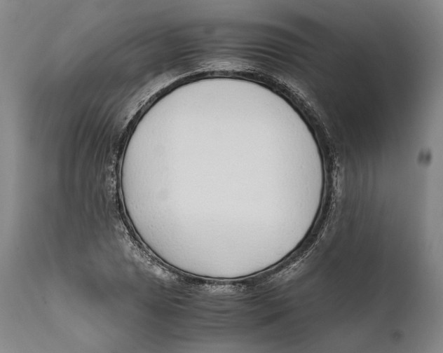 X0000111531025200908111221