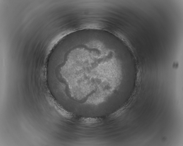 X0000111531027200908111221