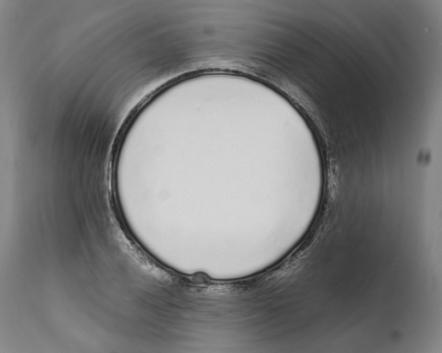 X0000111531028200908111221