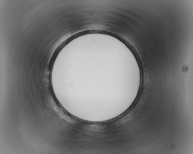 X0000111531029200908111221