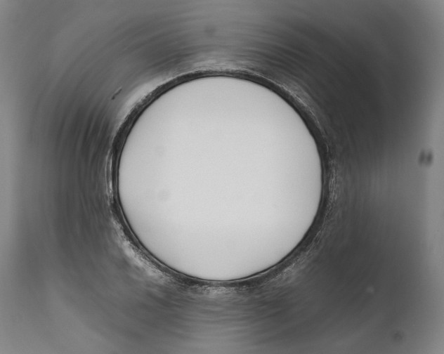 X0000111531030200908111221