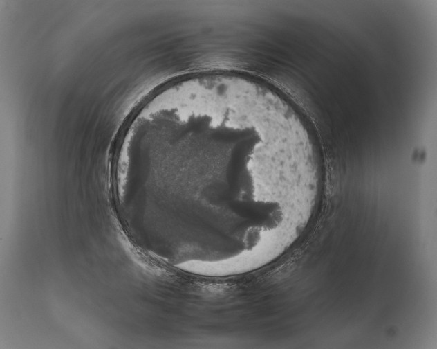 X0000111531031200908111221