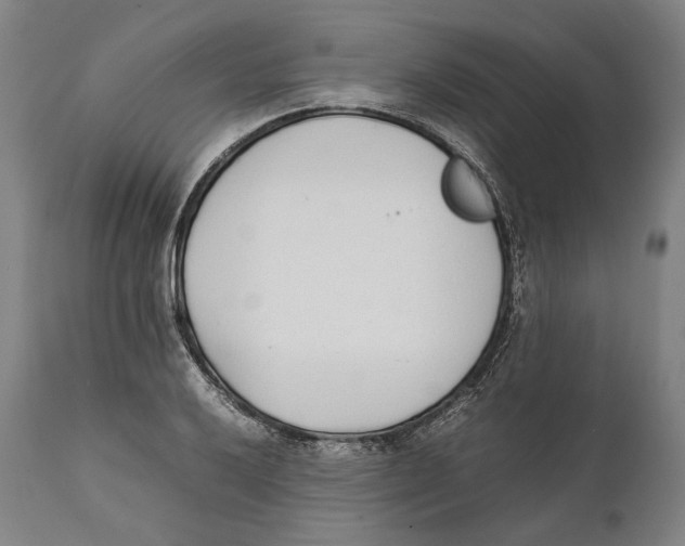 X0000111531032200908111221