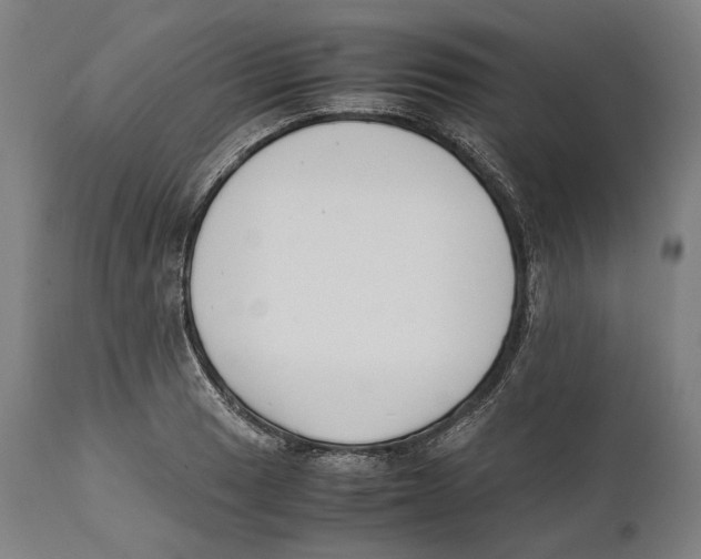 X0000111531033200908111221